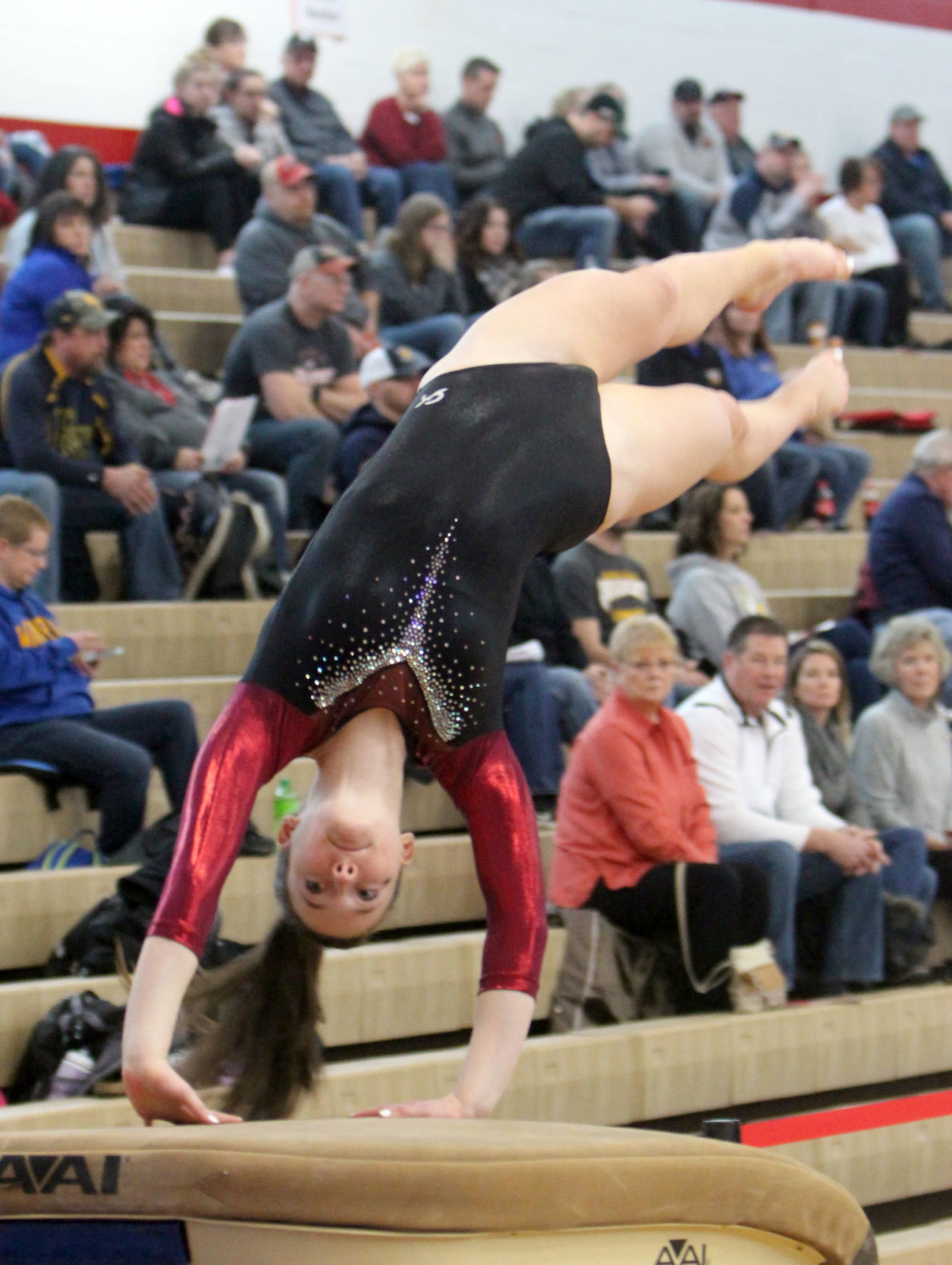 Big Rivers Conference Gymnastics Meet at Chippewa Falls 2-16-19